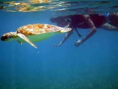 Water activities BVI